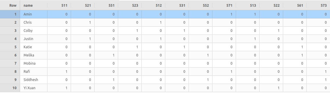 Entire Assignment DataFrame