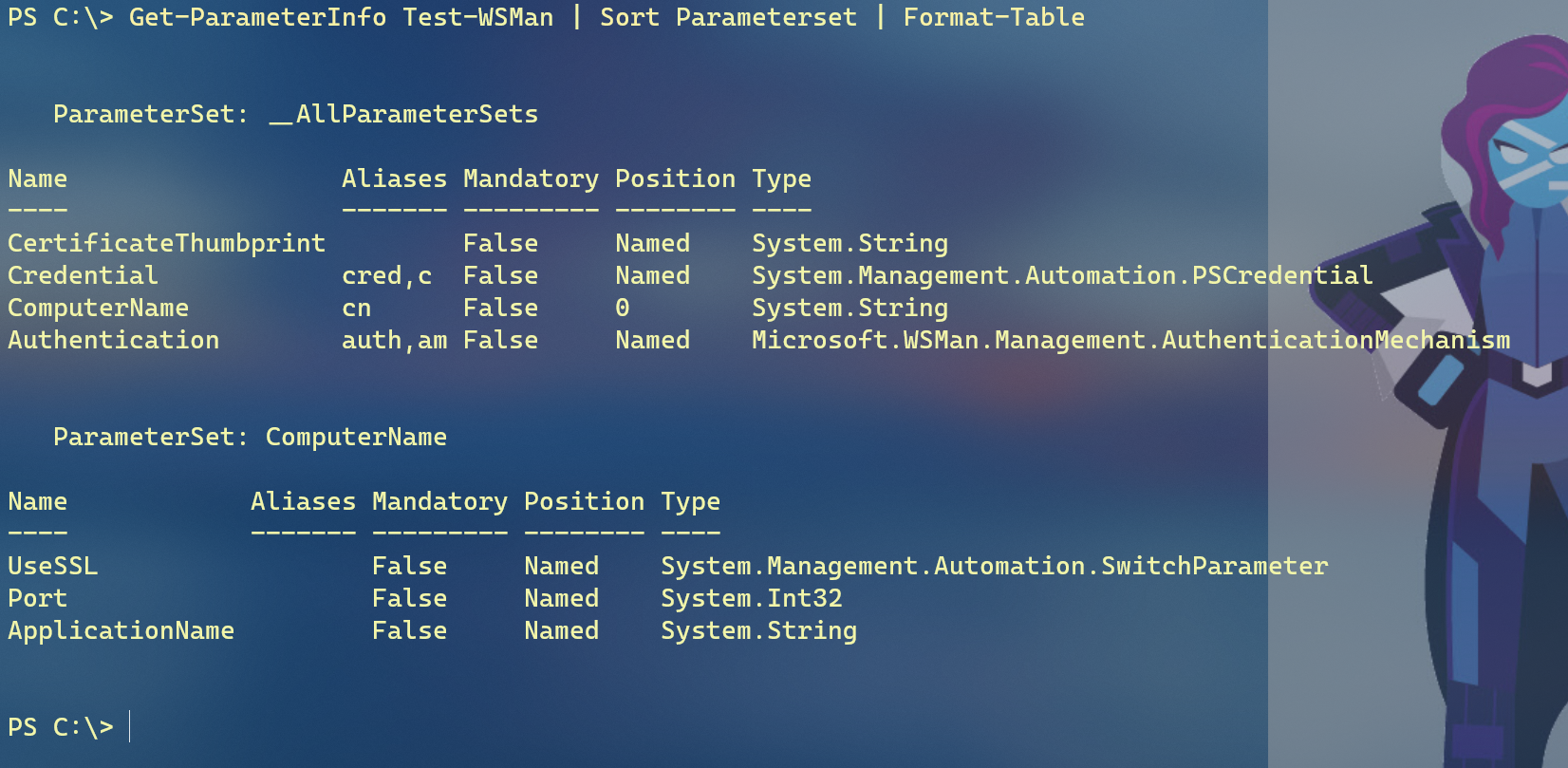 Get-ParameterInfo summary