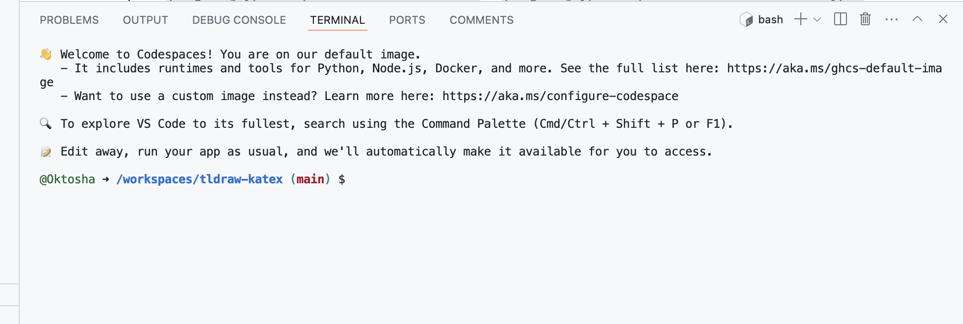 Terminal on codespace sreenshot