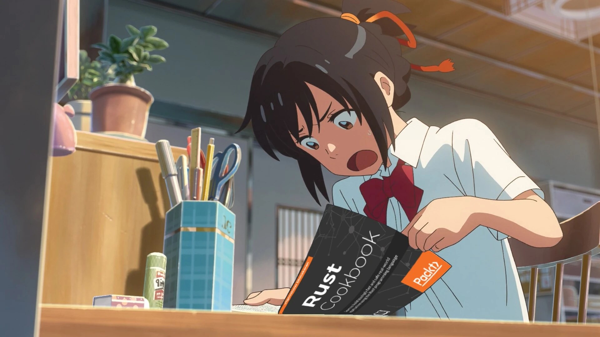 Rust Panic