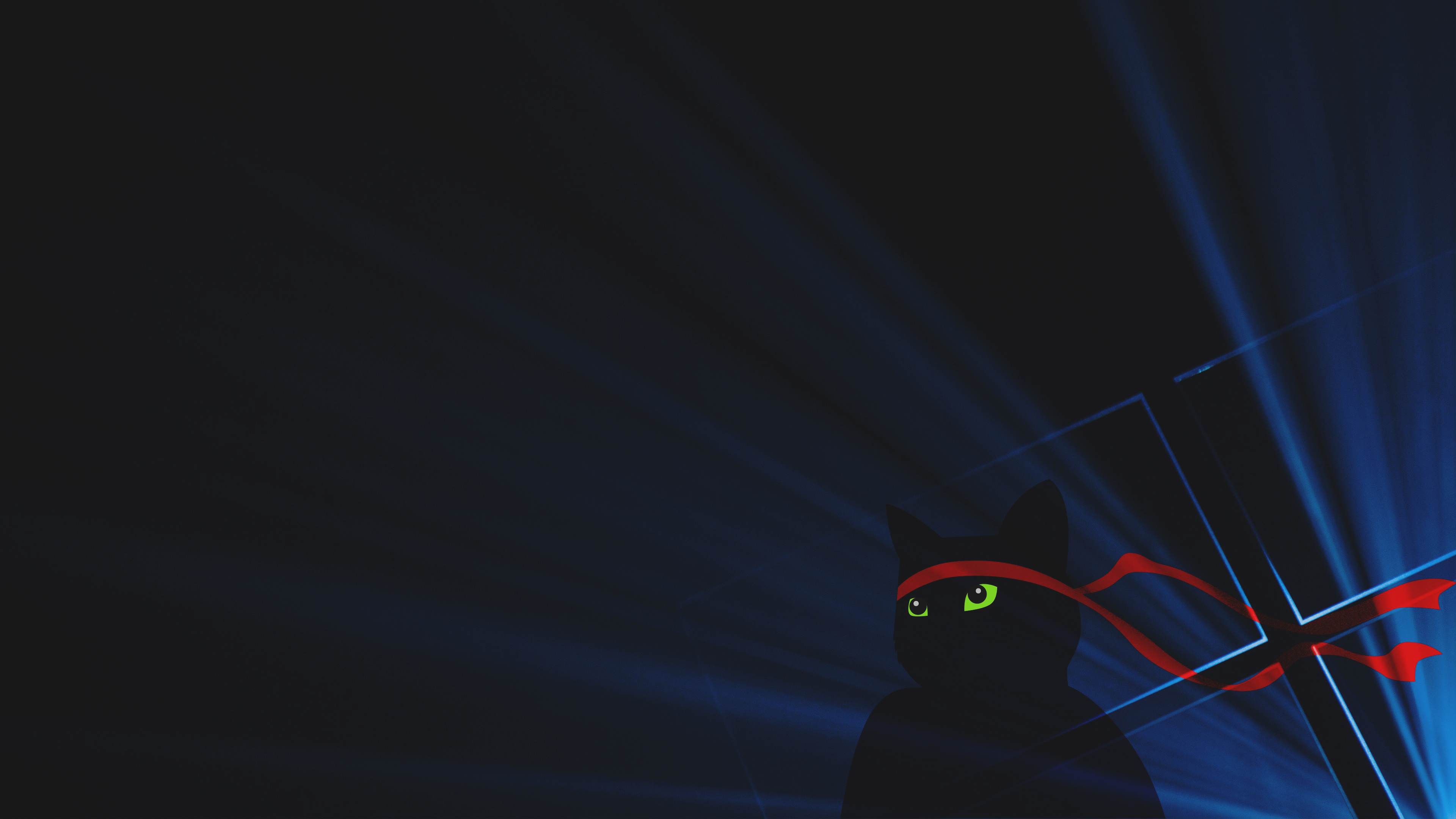 01-midnight-ninja-cat