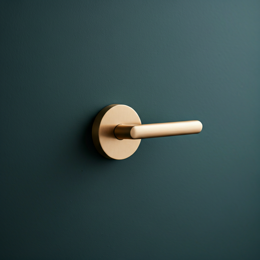 hero door handle
