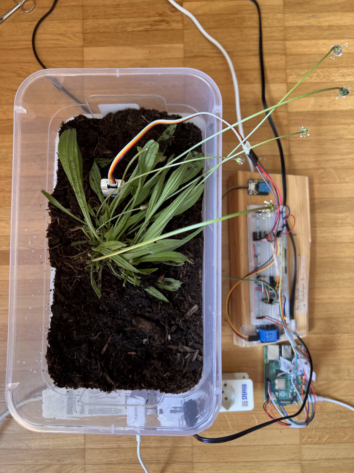 In-House Greenhouse IoT Prototype