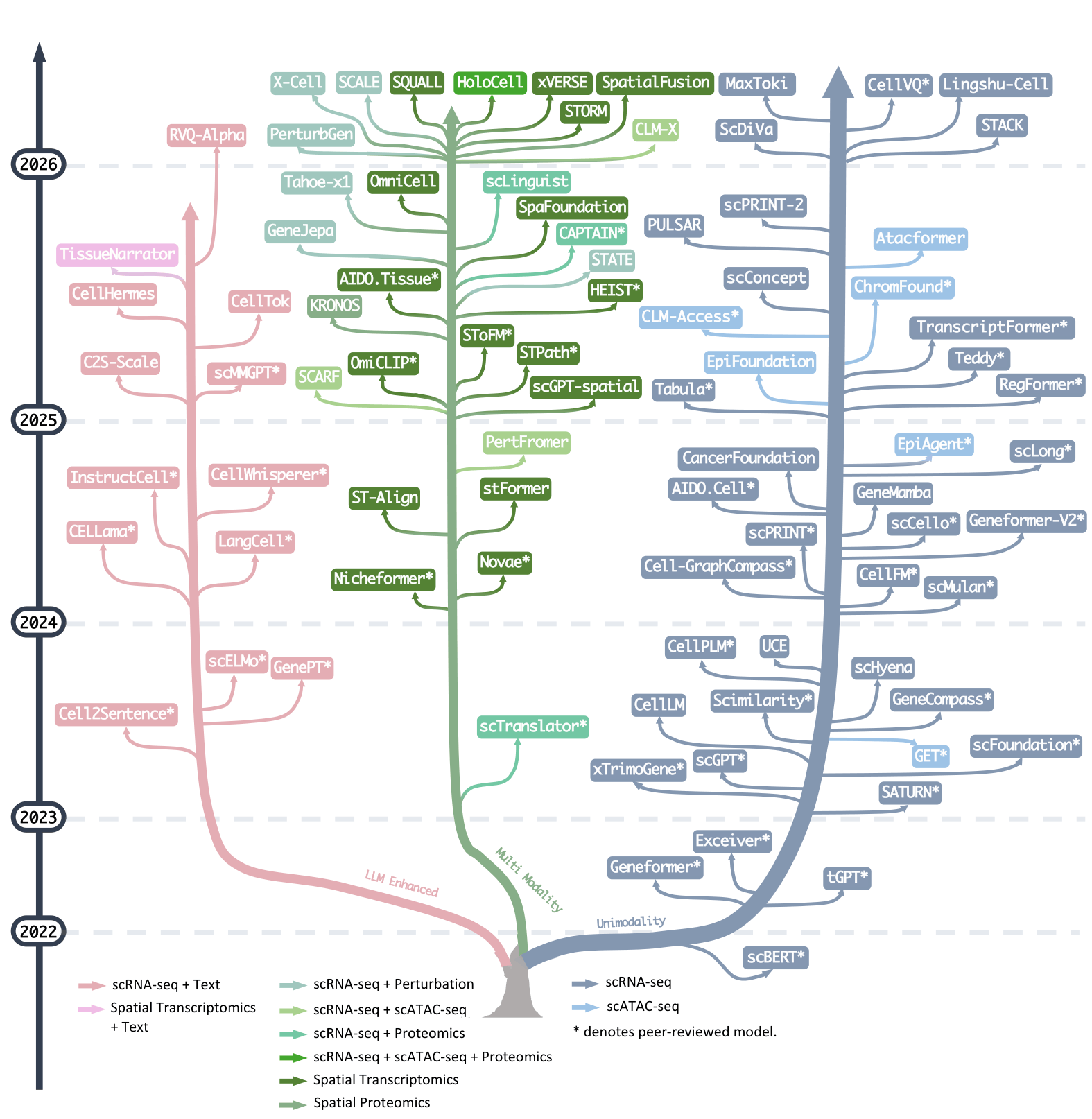 Evolutionary tree of single-cell foundation models