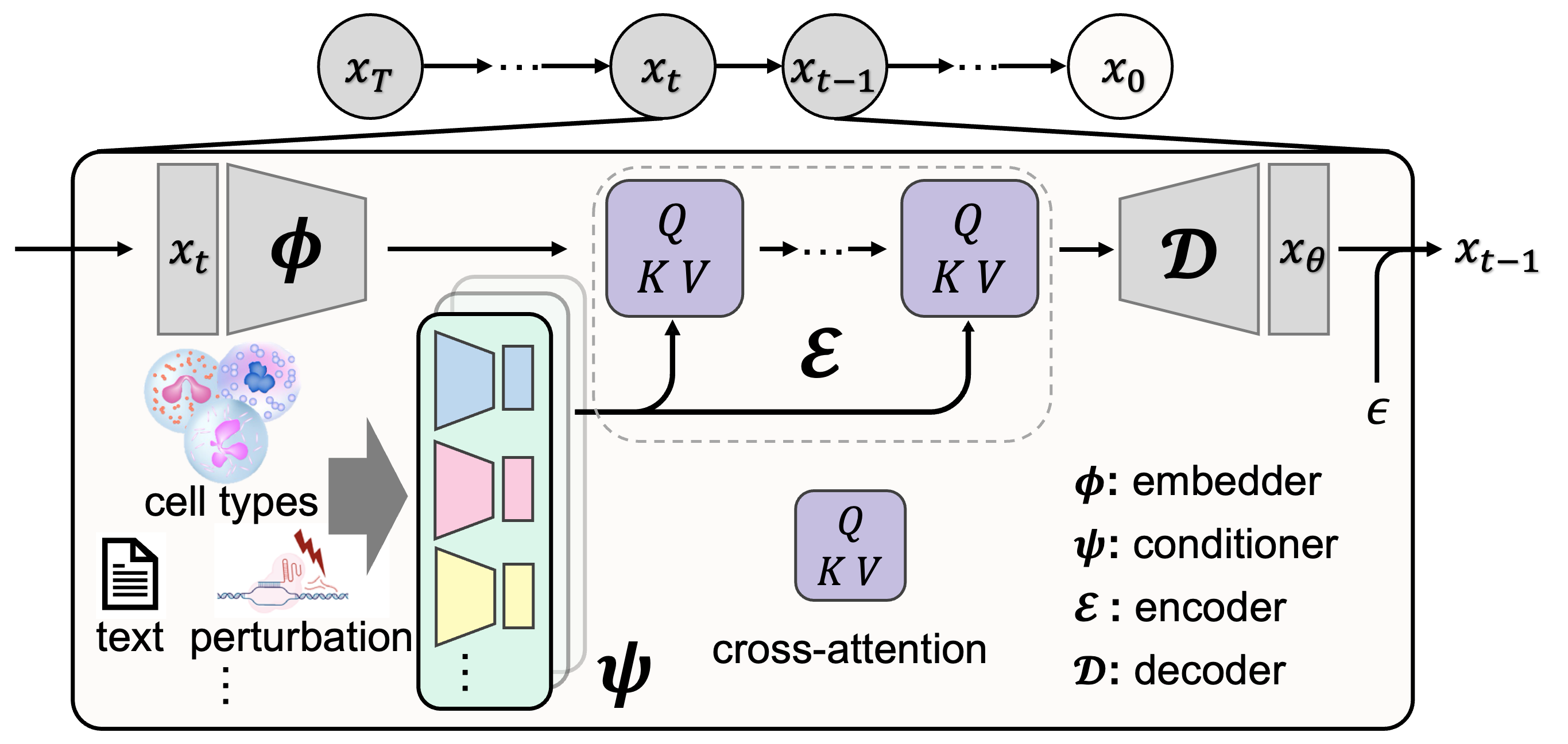 framework