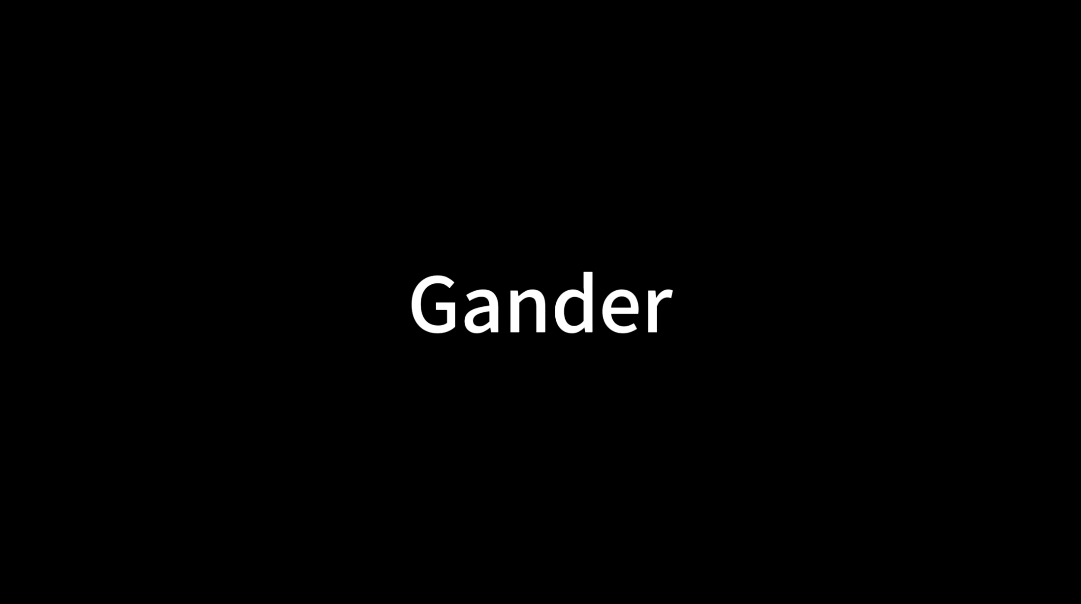 Watch the Gander demo on YouTube