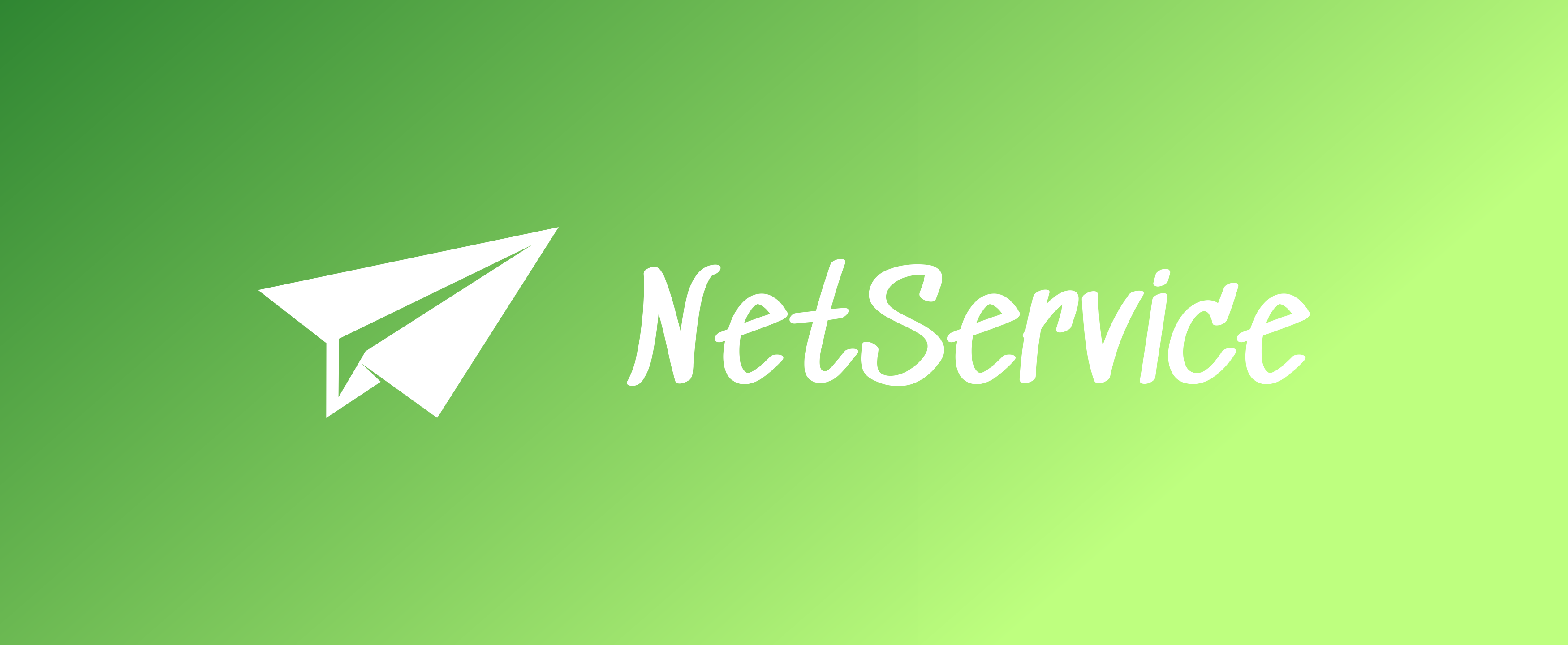 NetService