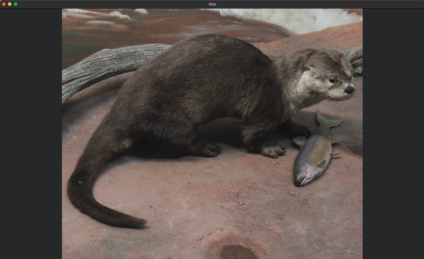 A Bevy app with a picture of an otter in the centre.