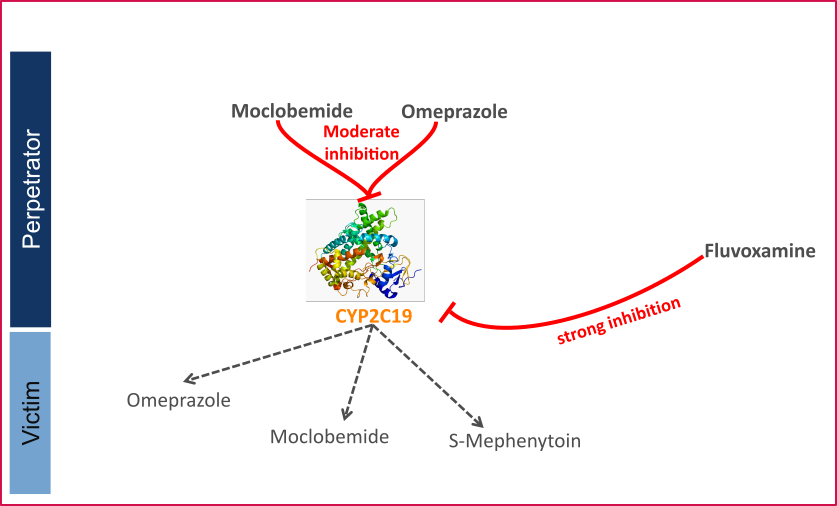 DDI CYP2C19 network