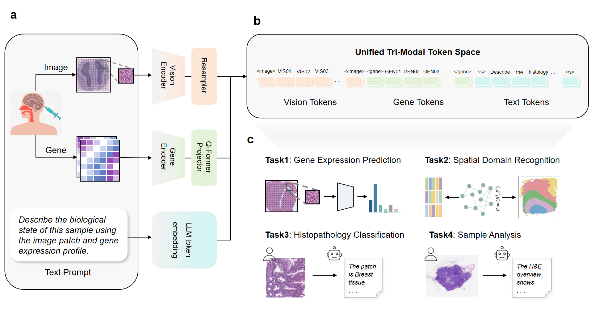 SciCore-Omics overview