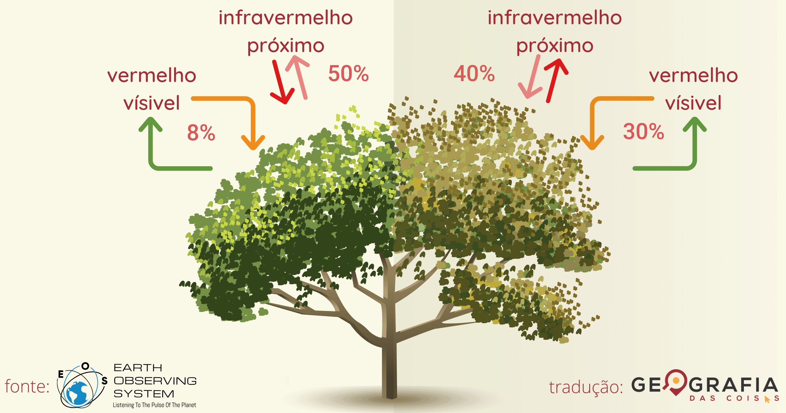 Índices de Vegetação