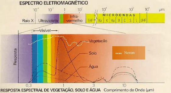 Resposta espectral da vegetação, solo e água