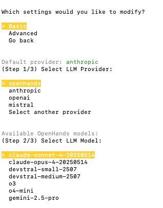 OpenHands CLI 模型选择