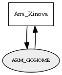 ARM_GOHOME
