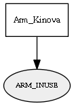 ARM_INUSE