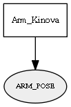 ARM_POSE