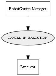 CANCEL_IN_EXECUTION
