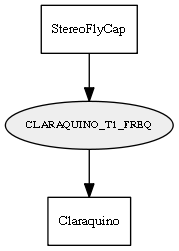 CLARAQUINO_T1_FREQ