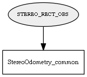 STEREO_RECT_OBS