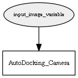 input_image_variable