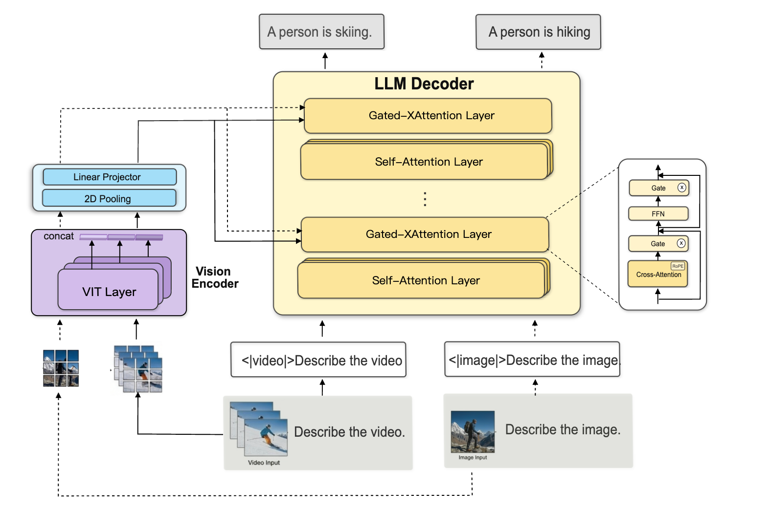 Model Structure