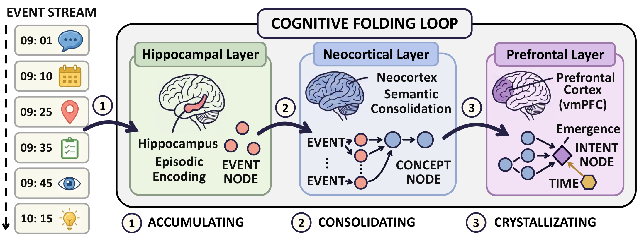 CogniFold tri-layer cognitive folding loop: Hippocampal → Neocortical → Prefrontal