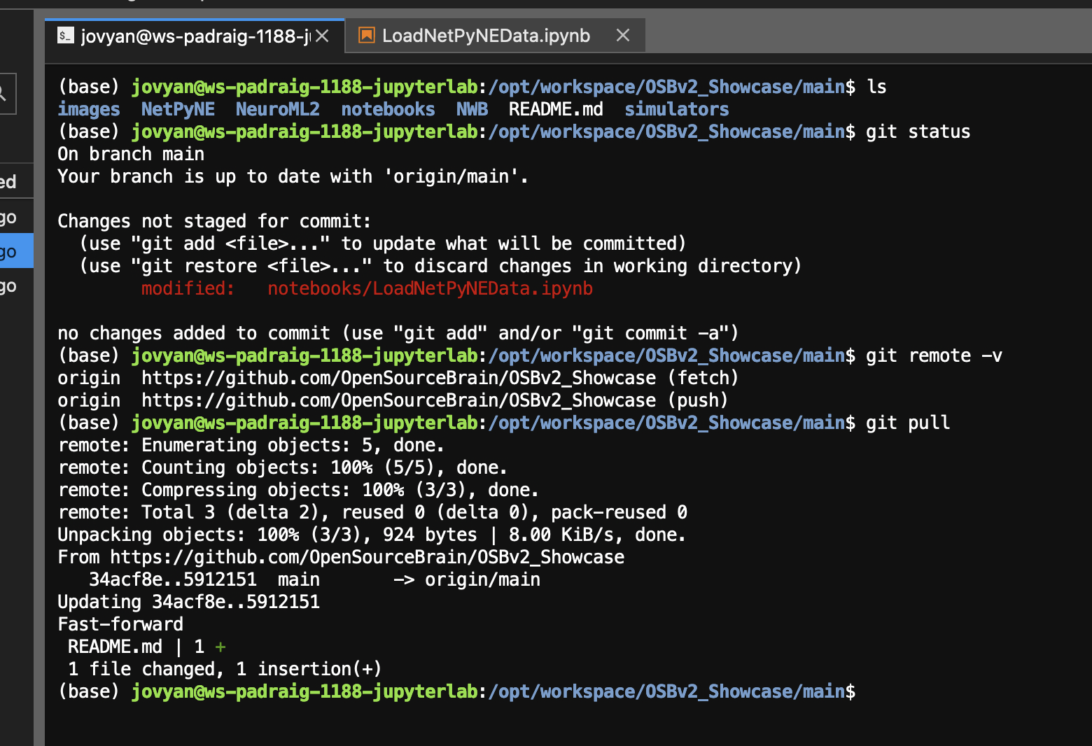 JupyterLab 上の GitHub リモート リポジトリとの対話