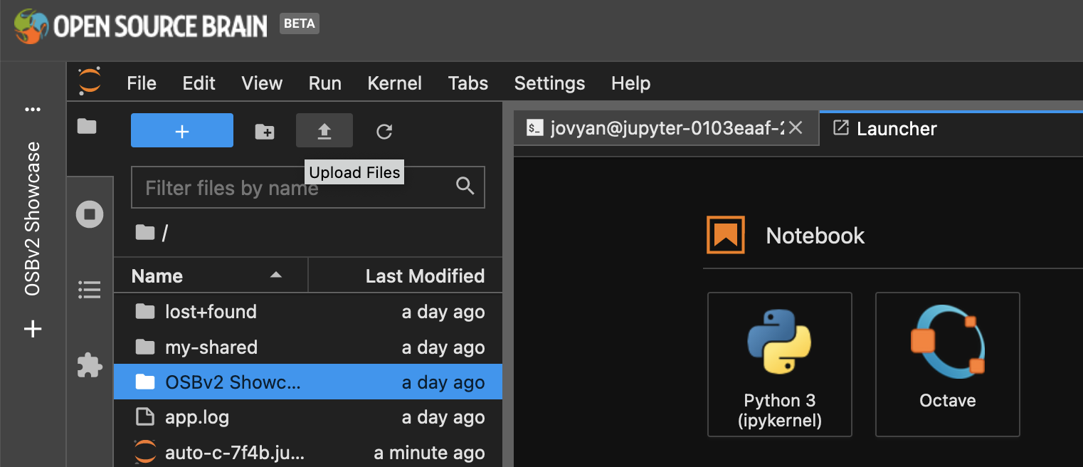 JupyterLab からファイルをアップロードします。