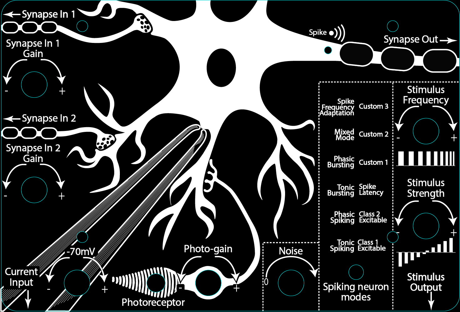 OpenSourceNeuro: Spikeling