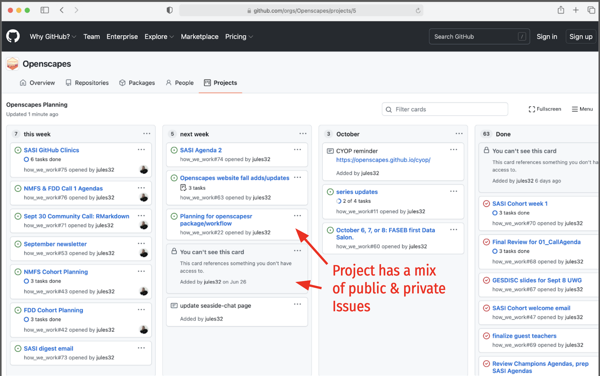 screenshot of a project board with issues from public and private repos