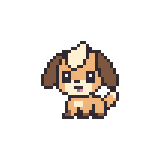 Dunepup