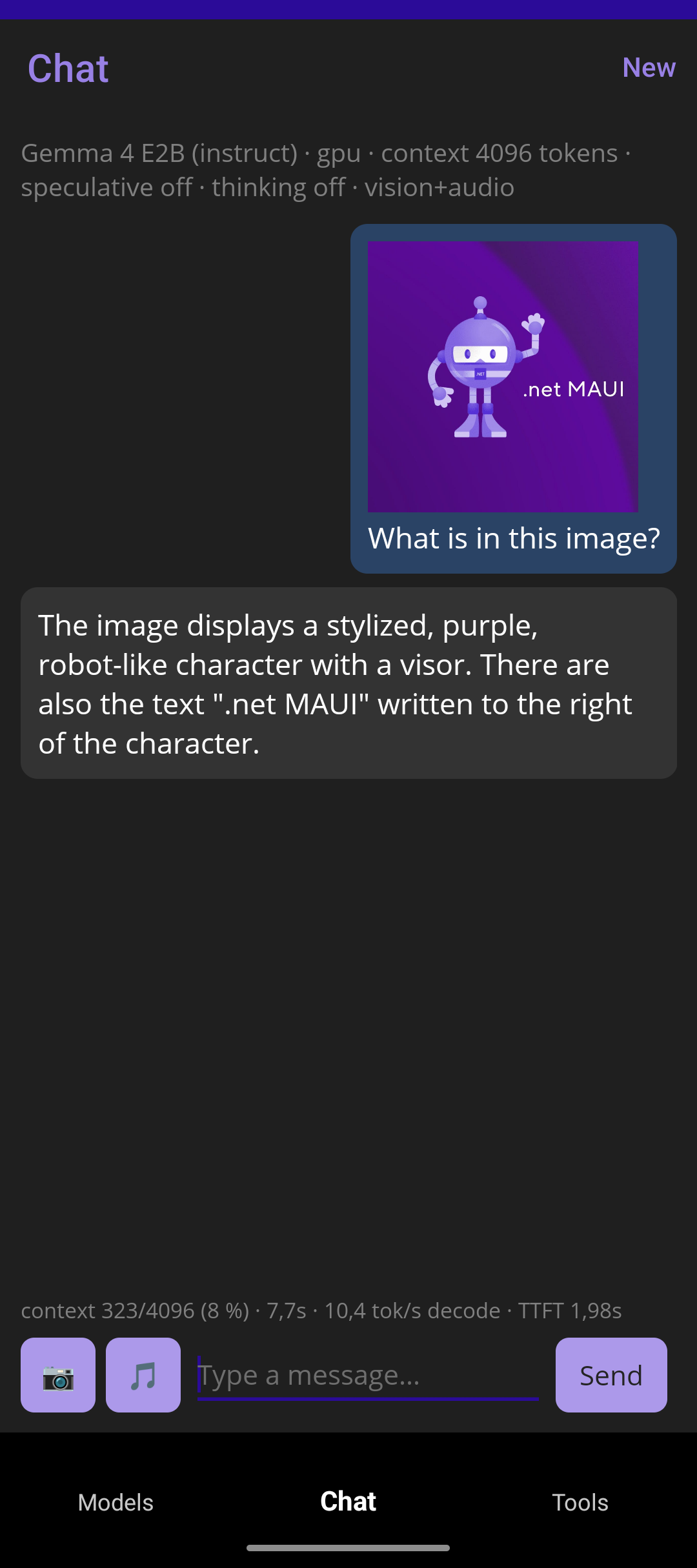 Chat tab — multimodal: image attachment answered on-device
