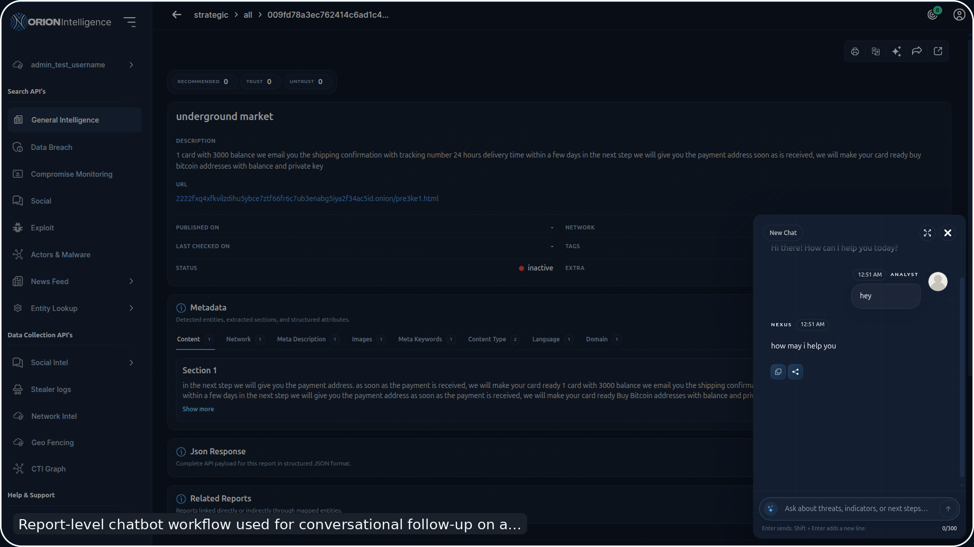 Report Chatbot