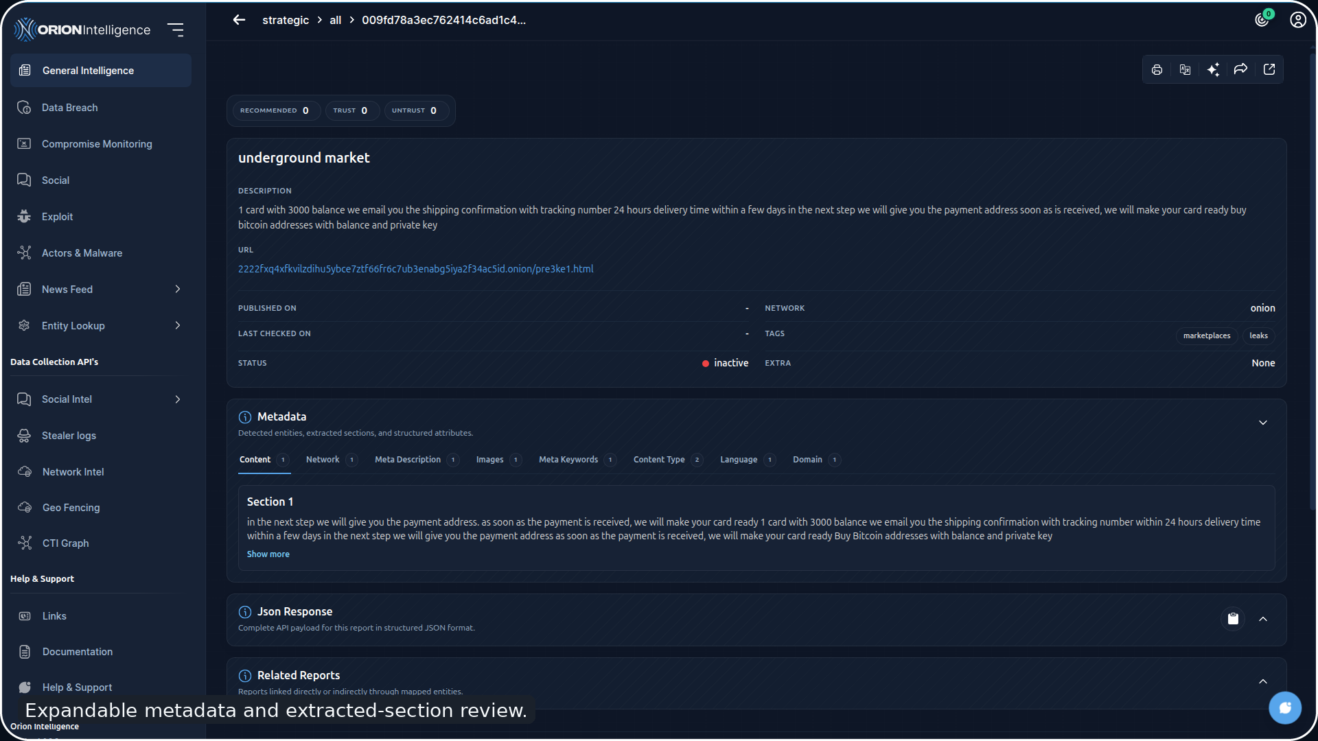 Report JSON Viewer
