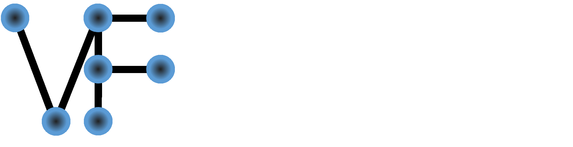 VisioFirm
