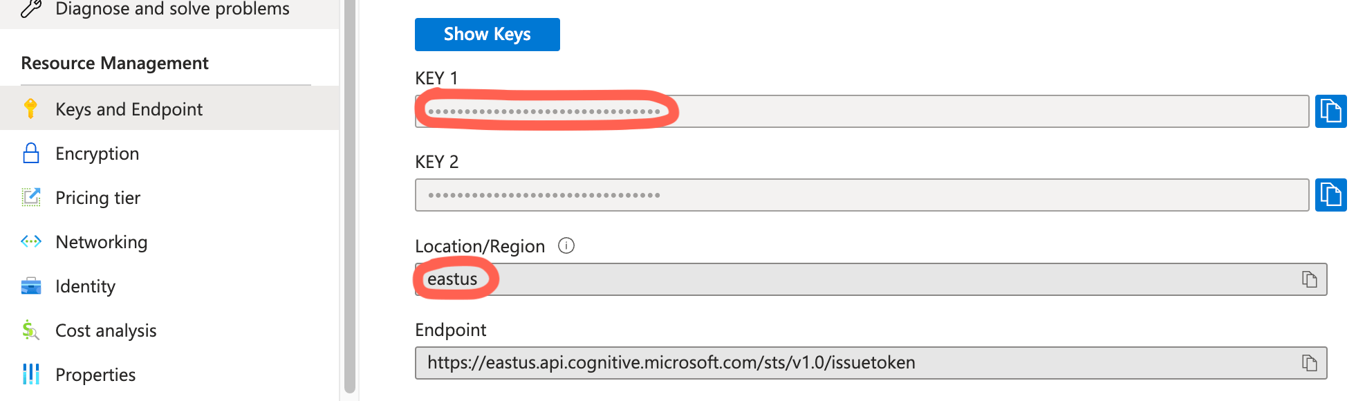 Credentials location in Azure Portal