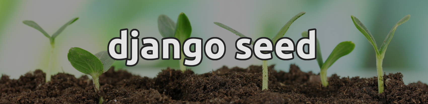 Django Seed