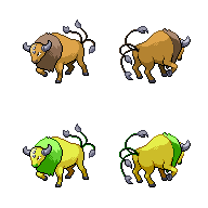 Cow