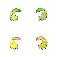 Chikorita
