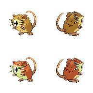 Raticate