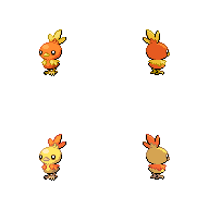 Torchic