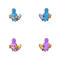 Mudkip, shiny
