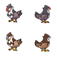 Staraptor