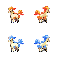 Ponyta