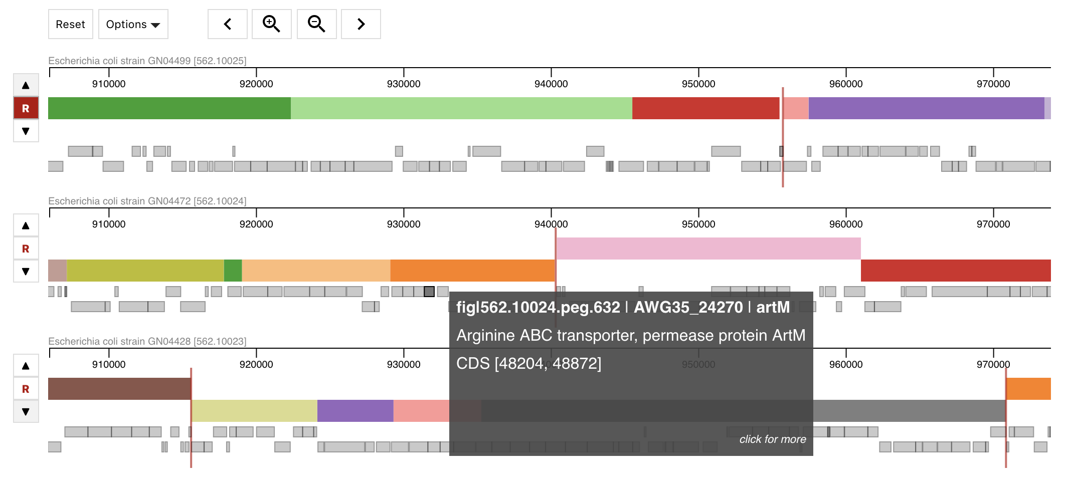 viewing features/annotations brucella screenshot