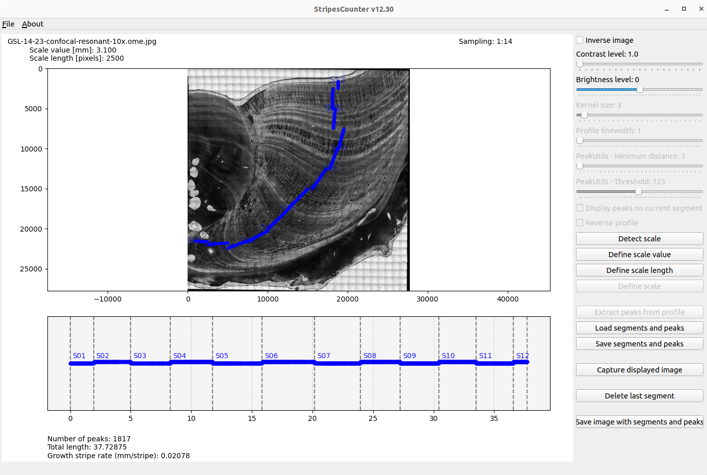 Capture 02: StripesCounter with 12 segments of edited and validated peaks