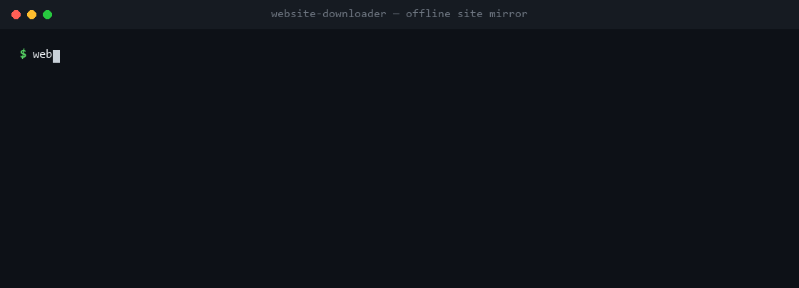 Website Downloader CLI in action