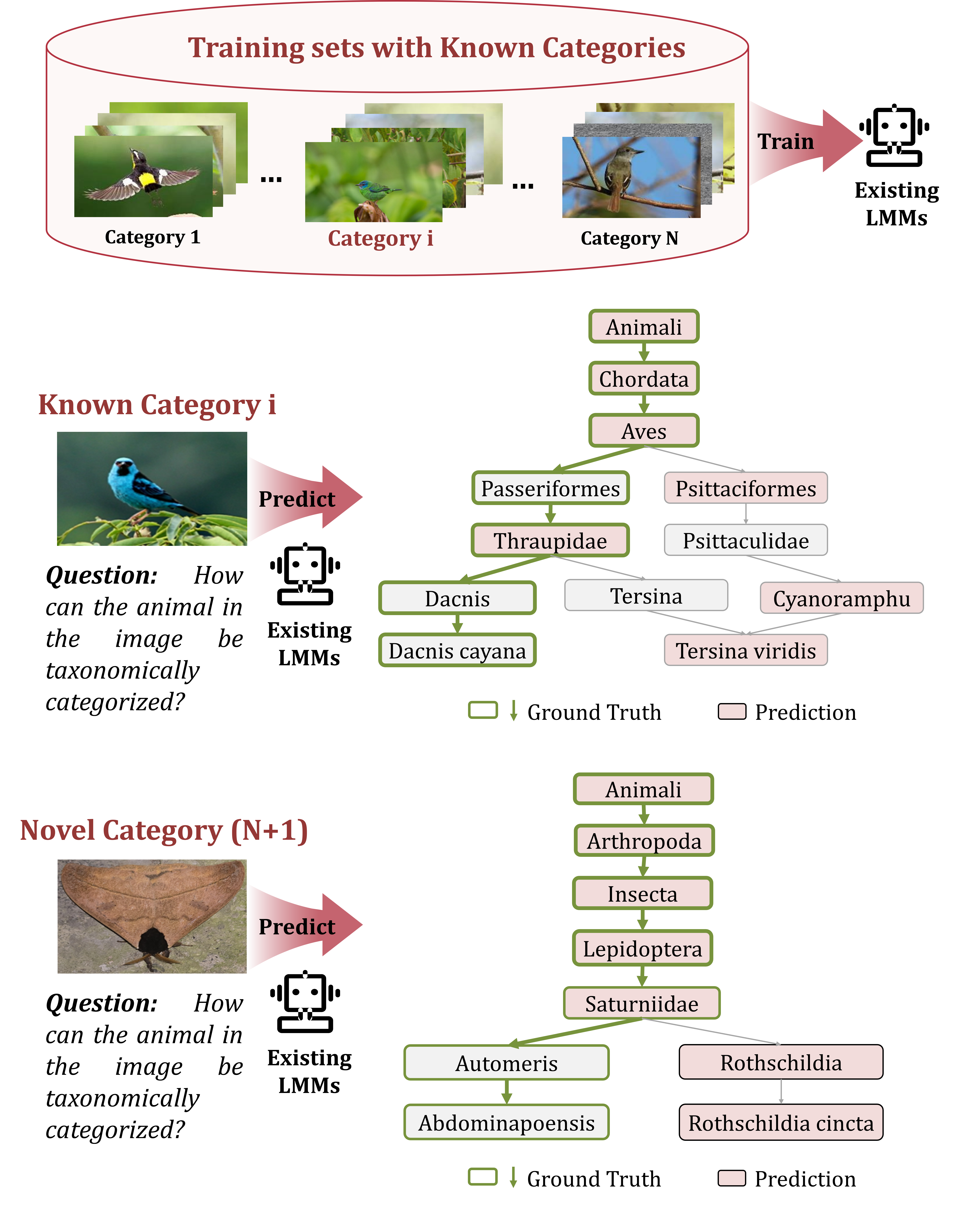 Overview