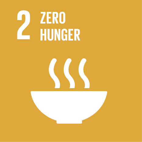 SDG 1 – No Poverty