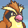 pidgey